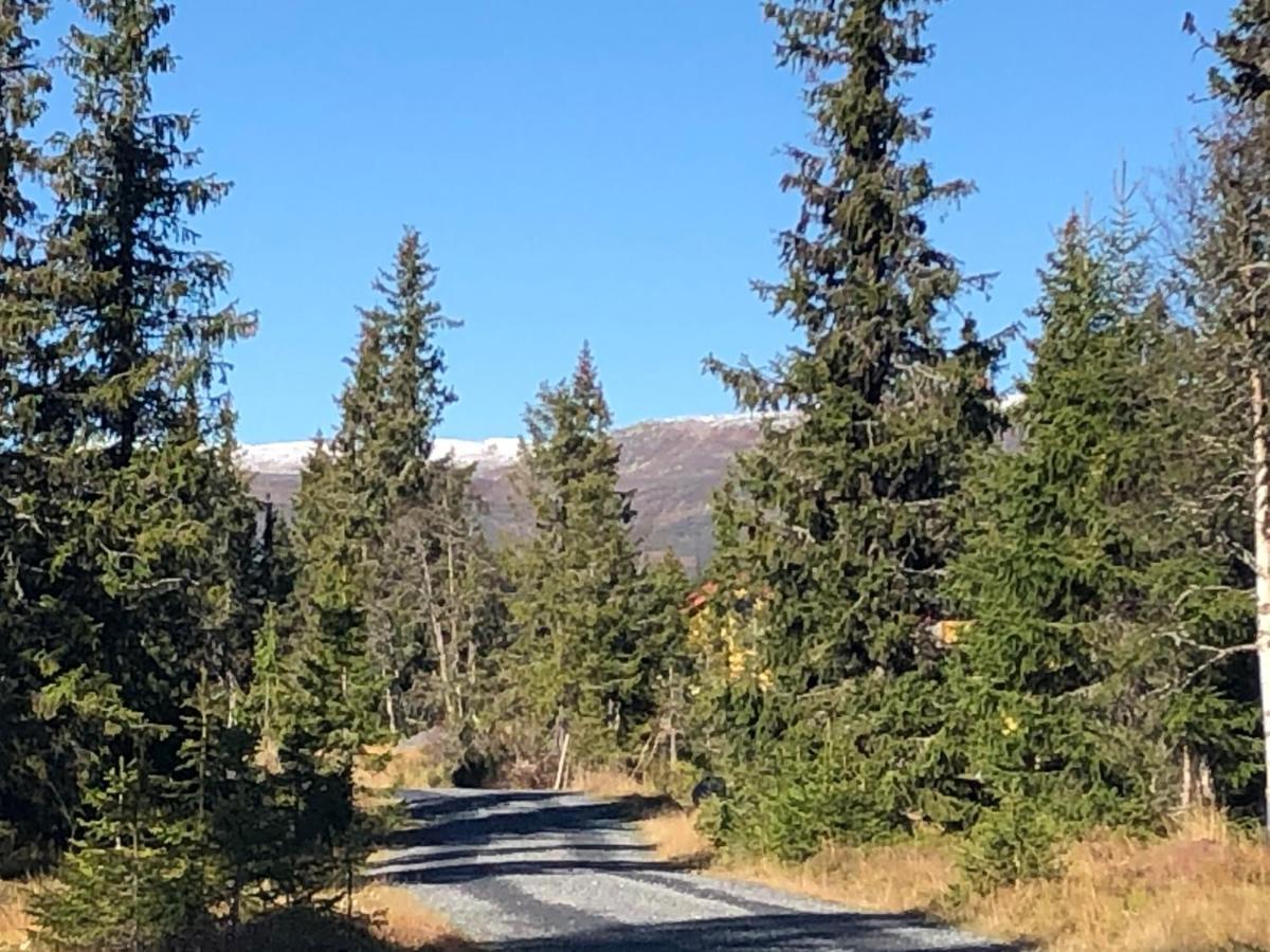 Sykkelhytte Ved Slatten I Synnfjellet Nord Torpa Экстерьер фото